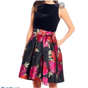 Alex Marie Floral Midnight Cocktail Velvet Dress 6